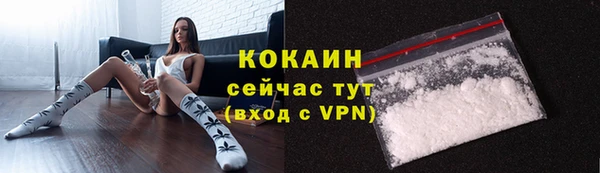 ГАЛЛЮЦИНОГЕННЫЕ ГРИБЫ Белокуриха