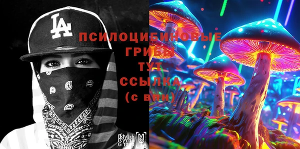 ГАЛЛЮЦИНОГЕННЫЕ ГРИБЫ Белокуриха