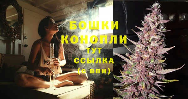 ГАЛЛЮЦИНОГЕННЫЕ ГРИБЫ Белокуриха