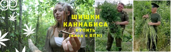 гашик Беломорск