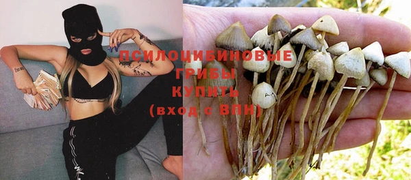 гашик Беломорск