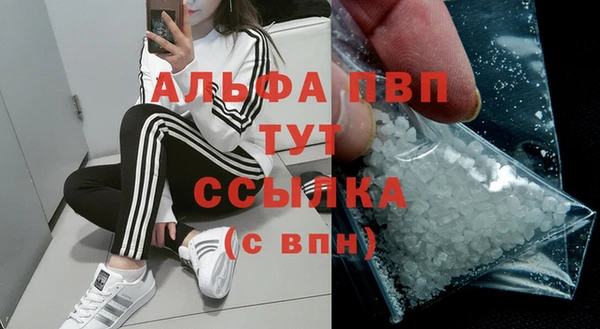 гашик Беломорск