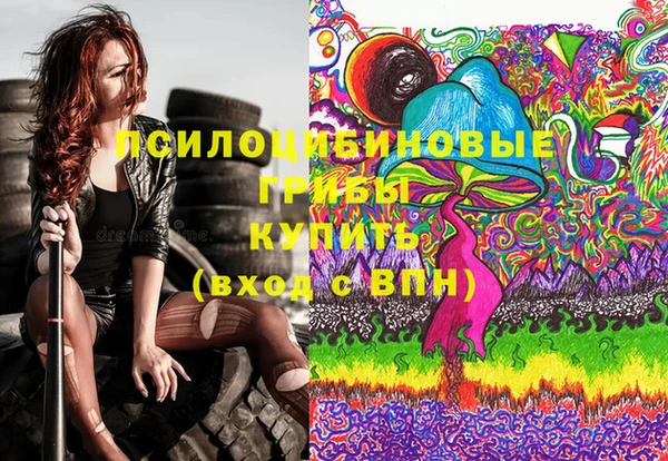 ГАЛЛЮЦИНОГЕННЫЕ ГРИБЫ Белокуриха