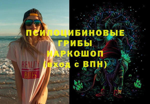 гашик Беломорск